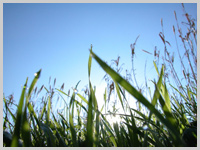 Portsmouth and Waterlooville Hypnotherapy Clinic for hypnosis, hypnotism, hypnotise, hypnotist in Portsmouth, Southsea, Waterlooville, Hampshire UK