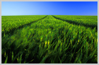 Hypnosis hypnotherapy in Portsmouth